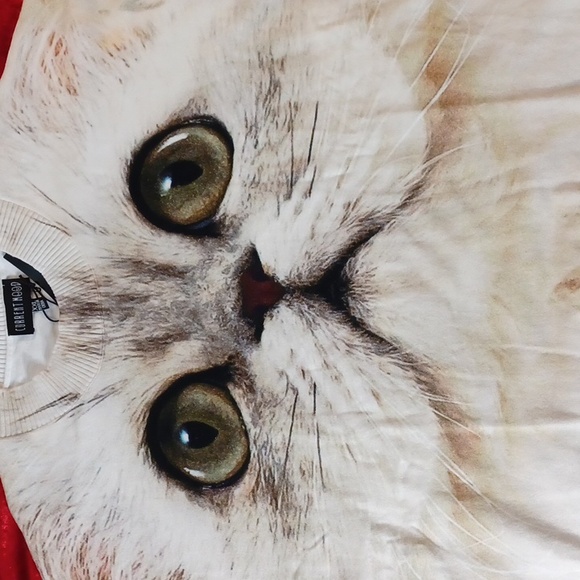 DOLLSKILL CURRENT MOOD XXL LONG-SLEEVED SWEATER WITH HUGE CAT FACE CREAM COLOR - Picture 11 of 12